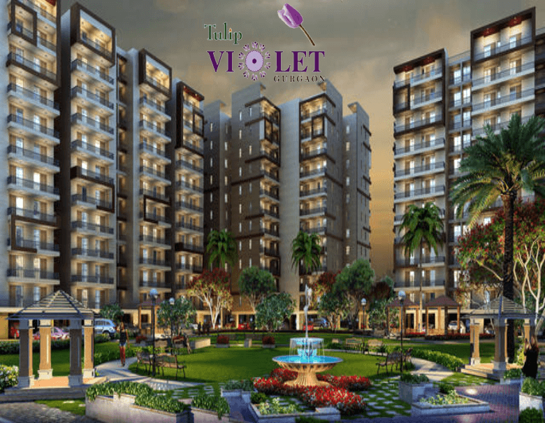 Paradise Consulting Tulip Violet 69 Tulip Violet 69